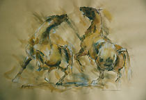chevaux